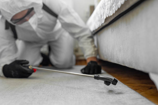 Professional Cockroach Control technician working in Richland, WA