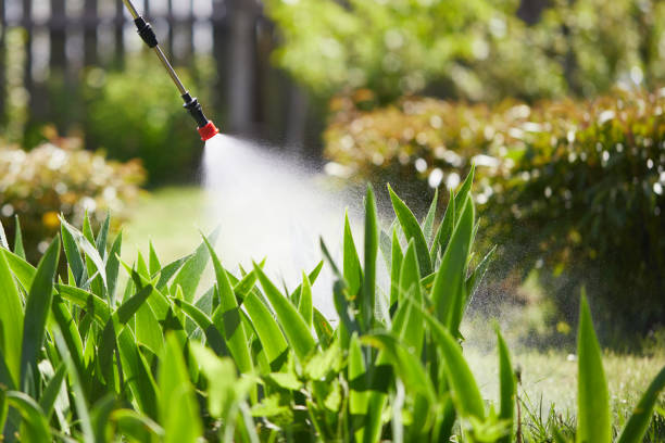 24/7 Emergency Cockroach Control experts in Richland, WA