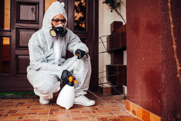 Reliable Cockroach Control contractor in Richland, WA by Nex Pest Control