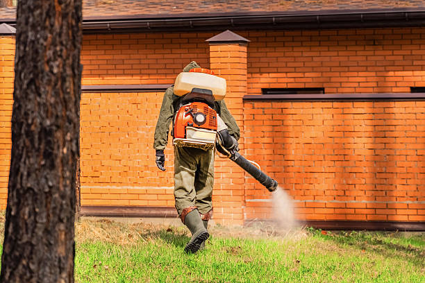 Trusted Termite Control service in Richland, WA - Nex Pest Control